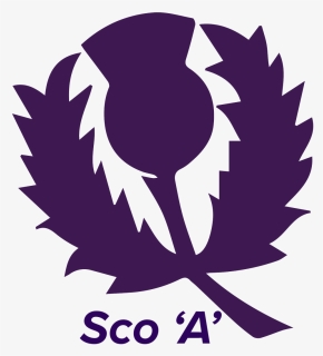 Thumb Image - Scotland Cricket Team Logo, HD Png Download, Free Download