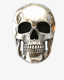#💀 #skull #chrome #silverskull #skullhead #stickers - Stainless Steel Skull Ring Anatomical, HD Png Download, Free Download