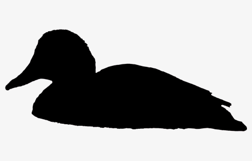 Swimming Duck Silhouette Png , Png Download - Swimming Duck Silhouette Png, Transparent Png, Free Download