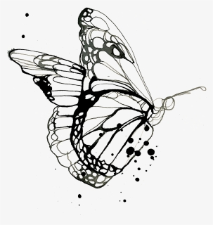 Tattly Flutter Stina Persson 00 V=1531942186 - Butterfly Drawing Tattoo, HD Png Download, Free Download