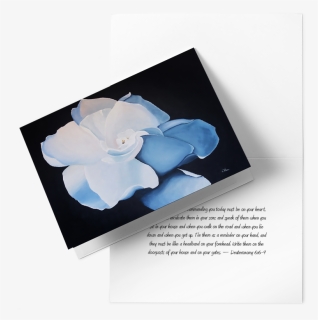 White Gardenia Greeting Card , Png Download - Gardenia, Transparent Png, Free Download