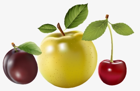 Cherry, HD Png Download, Free Download