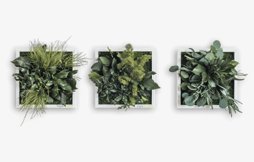 Nature Wall Decor, Natural Square Plant Wall Decor, - Plants, HD Png Download, Free Download