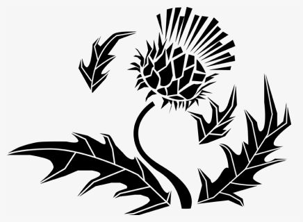 Chardon Écossai, HD Png Download, Free Download