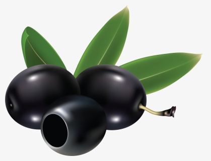 Black Olives Png , Png Download - Black Olives Clip Art, Transparent Png, Free Download