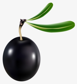 Black Olive Transparent Clipart , Png Download - Black Olive Png, Png Download, Free Download