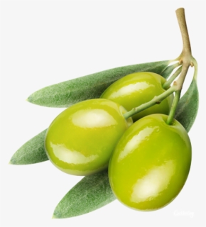 Olives Png Free Download - Aceituna Psd, Transparent Png, Free Download