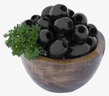 Flowerpot, HD Png Download, Free Download