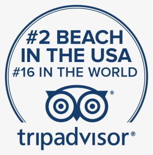 Trip Advisor Award - Trip Advisor, HD Png Download, Free Download