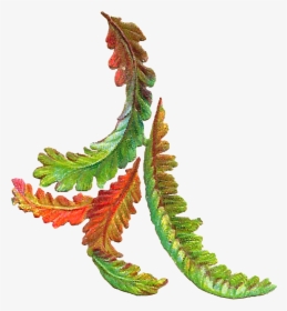 Colorful Leaf In Png, Transparent Png, Free Download