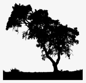 Tree Silhouette Landscape Png, Transparent Png, Free Download