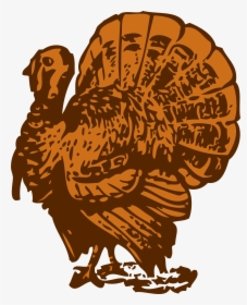Turkey Clip Arts - Free Turkey, HD Png Download, Free Download
