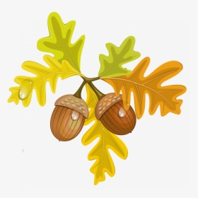 Acorn Leaf Clipart - Leaves And Acorns Clipart, HD Png Download, Free Download
