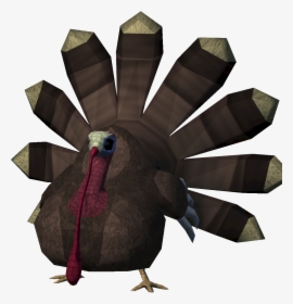 Runescape Turkey, HD Png Download, Free Download