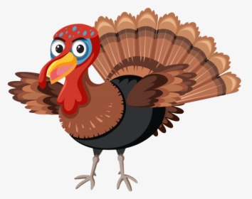 Wild Turkey Png Image Download - Turkey On White Background, Transparent Png, Free Download