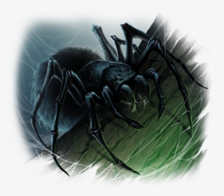 Giant Spider Monster, HD Png Download, Free Download