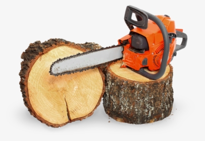 Transparent Tree Stump Png - Chainsaw Tree Png, Png Download, Free Download