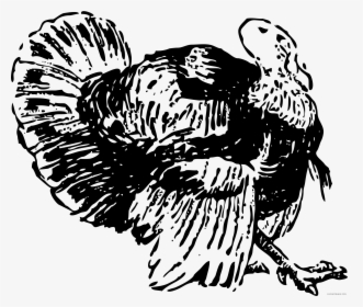 Turkey Png Black And White - Clip Art, Transparent Png, Free Download