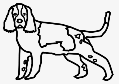 Springer Spaniel Icon, HD Png Download, Free Download