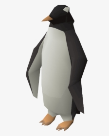 Osrs Penguin, HD Png Download, Free Download