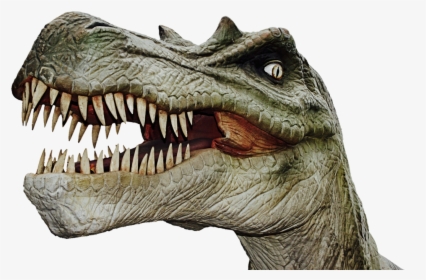 Dinosaur Head Transparent Background, HD Png Download, Free Download