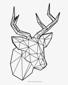 Low Poly Deer Coloring Page - Poly Art Coloring Pages, HD Png Download, Free Download