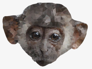 This Free Icons Png Design Of Low Poly Monkey , Png - Cheetah, Transparent Png, Free Download