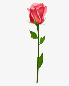 Orange Rose Clip Art Image - Transparent Background White Rose Png, Png Download, Free Download
