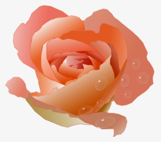 Free Rose Clipart Animations - Coral Roses Clipart, HD Png Download, Free Download
