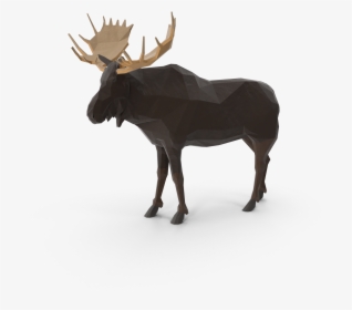 Elk, HD Png Download, Free Download