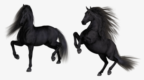 Figure,mustang And White,animation - Stallion, HD Png Download, Free Download