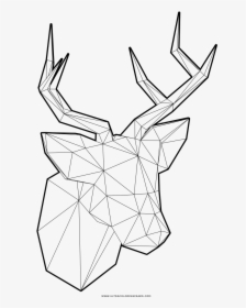 Low Poly Deer Coloring Page - Sketch, HD Png Download, Free Download