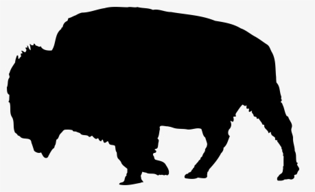 Bison,silhouette,clip Art,snout,terrestrial - Bison Petting Chart, HD Png Download, Free Download