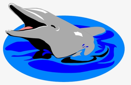 Transparent Dolphin Clipart - Dolphin In Water Clipart, HD Png Download, Free Download