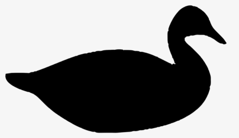 Poultry,water Bird,livestock - Ducks Silhouette Png, Transparent Png, Free Download