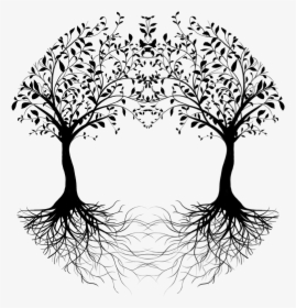 Roots Drawing Heart - Drawing Of Two Trees, HD Png Download, Free Download