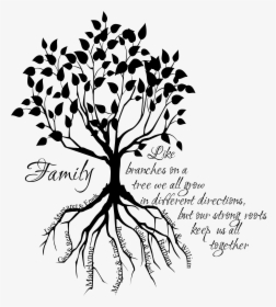 Family Tree With Roots, HD Png Download, Free Download