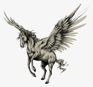 Tattoo Horse Pegasus Drawing Sketch Png Free Photo - Pegasus Tattoo, Transparent Png, Free Download