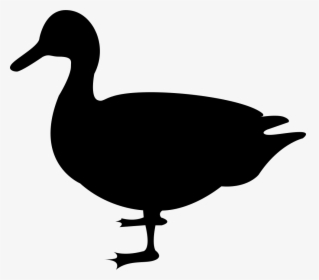 Bird,duck,beak,water Bird,ducks, Geese And Black Duck,mallard,clip - Duck Svg Free, HD Png Download, Free Download