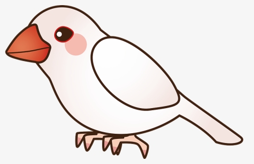 Java Sparrow Bird Clipart - Northern Grey Shrike, HD Png Download, Free Download