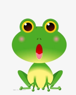 Amphibians Drawing Tree Frog - Cartoon Tree Frog Drawing, HD Png Download, Free Download