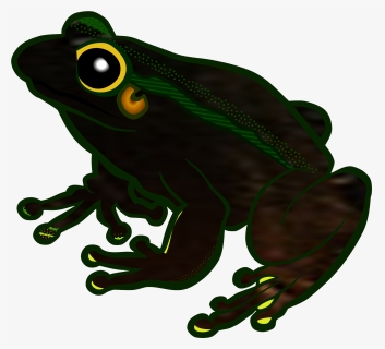 Tree Frog Clipart Transparent, HD Png Download, Free Download