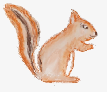 Ardilla - Fox Squirrel, HD Png Download, Free Download