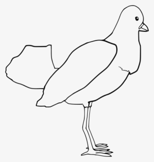 Bird Clip Arts - Fowl Outline Drawing, HD Png Download, Free Download