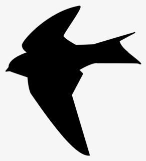 Bird Silhouette-1580995222 - Vaux S Swift, HD Png Download, Free Download