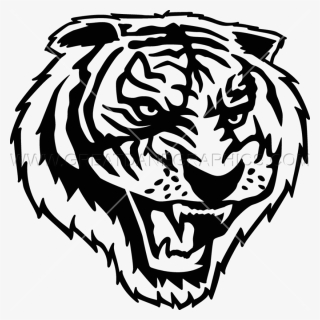 Clipart Tiger Roaring - Tiger Drawing Transparent, HD Png Download, Free Download
