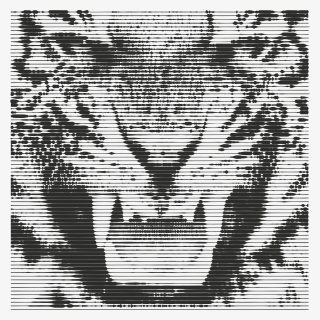 Tiger Growling Clip Arts - Tigers, HD Png Download, Free Download