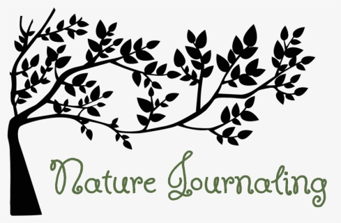 Nature Journaling Workshop - Black And White Tree Clipart, HD Png Download, Free Download