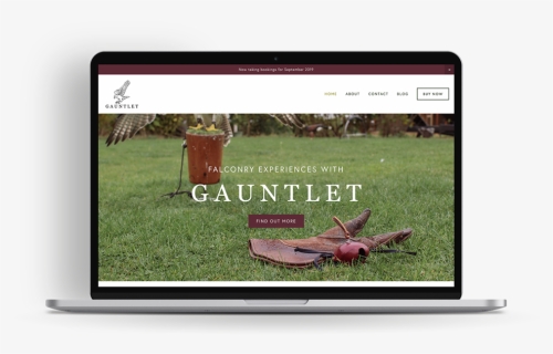 Gauntlet Transparent 1 Sq - Grass, HD Png Download, Free Download