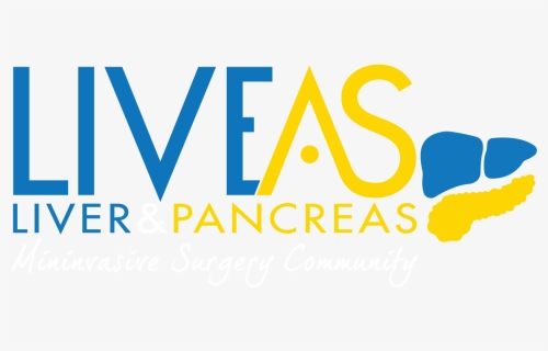 Pancreas , Png Download - Graphic Design, Transparent Png, Free Download